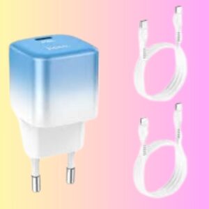 Hoco C101A PD 20W Fast Mini Travel Charger Adapter With Type C To Type C Cable
